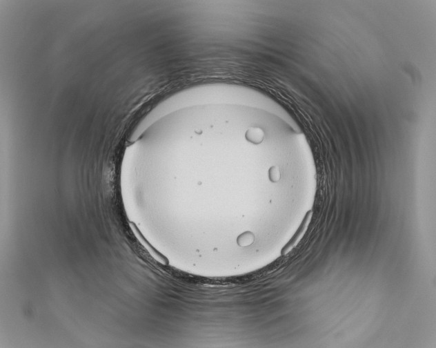 X0000110680556200907241046
