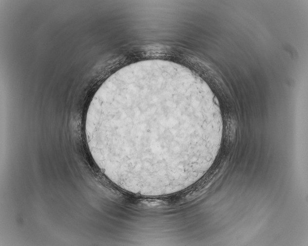 X0000110680557200907241046