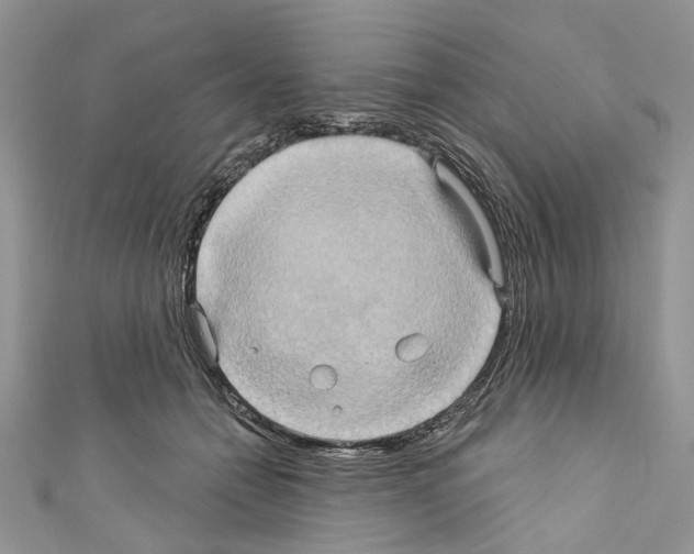 X0000110680558200907241046
