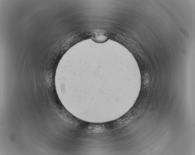 X0000110680559200907241046