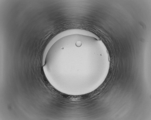 X0000110680560200907241046