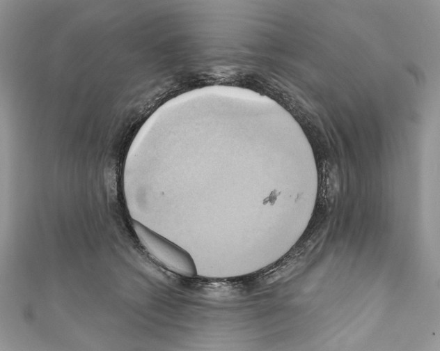 X0000110680562200907241046