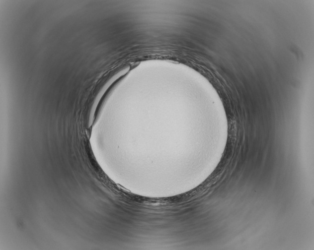 X0000110680564200907241046