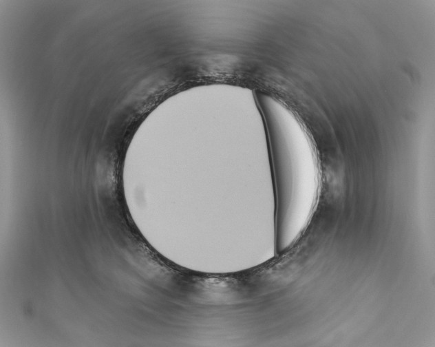 X0000110680566200907241046