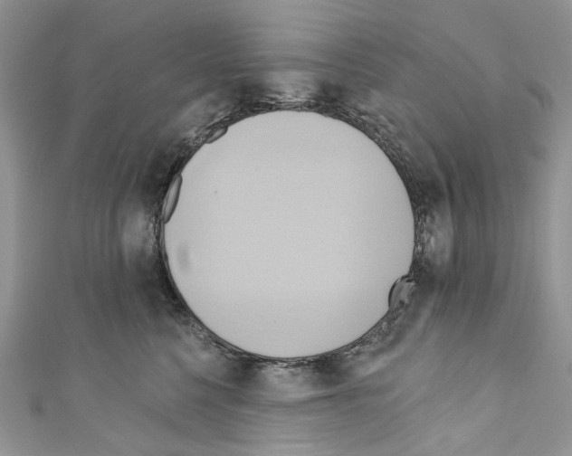 X0000110680568200907241046