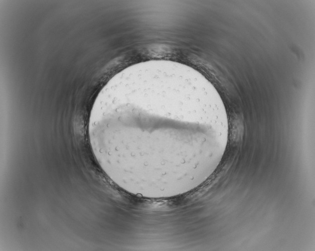 X0000110680569200907241046