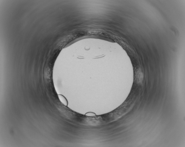 X0000110680571200907241046