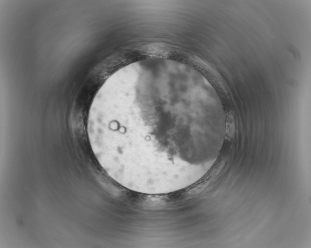 X0000110680573200907241046