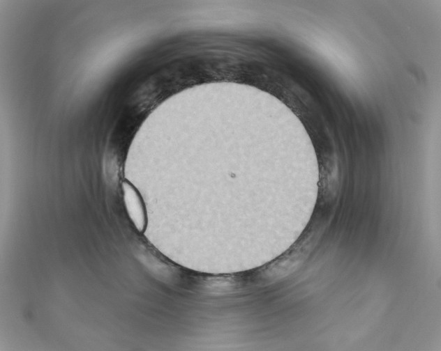 X0000110680574200907241046