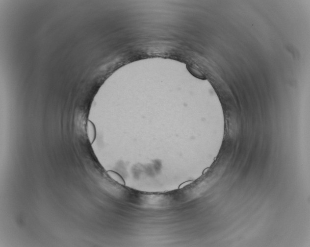 X0000110680575200907241046