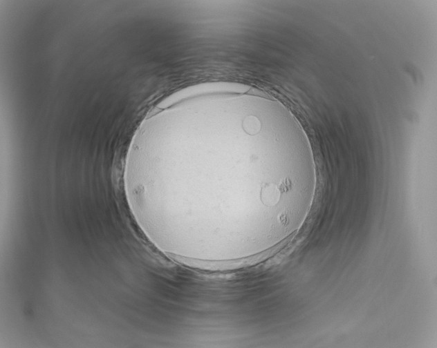 X0000110680576200907241046