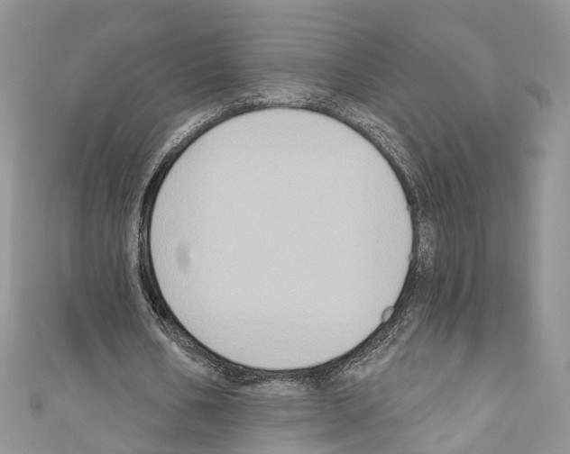 X0000110680578200907241045