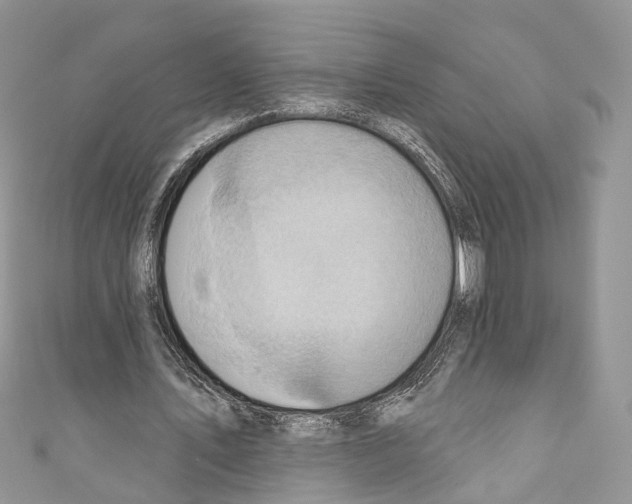 X0000110680579200907241045