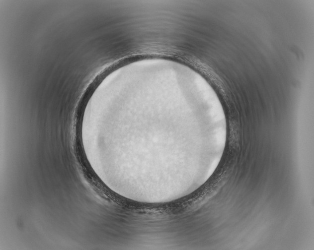 X0000110680580200907241045