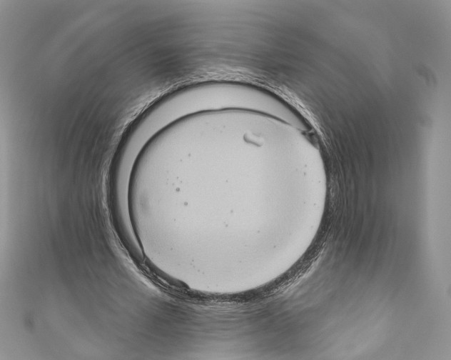 X0000110680581200907241045