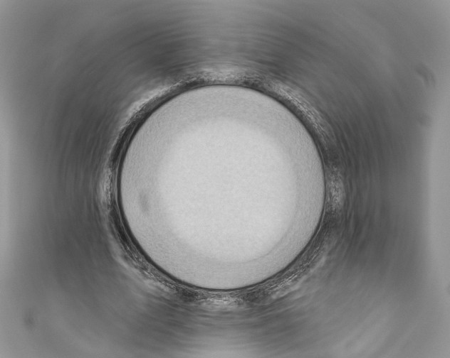X0000110680583200907241045