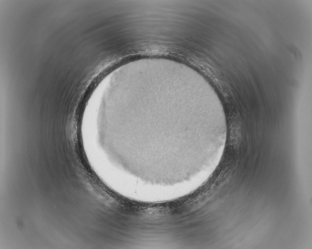 X0000110680584200907241045