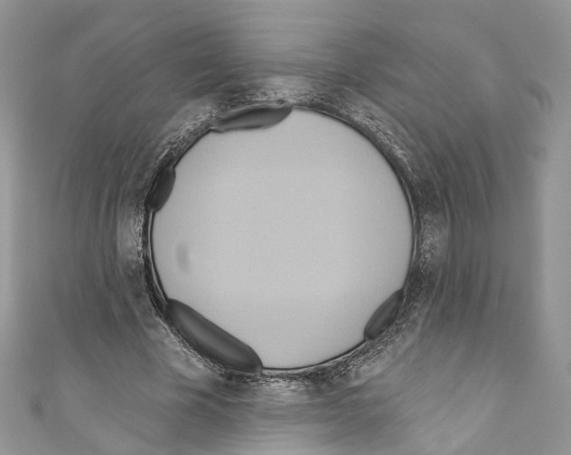 X0000110680585200907241045