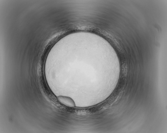 X0000110680587200907241045