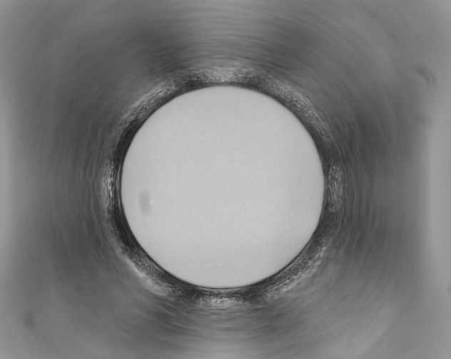 X0000110680590200907241045