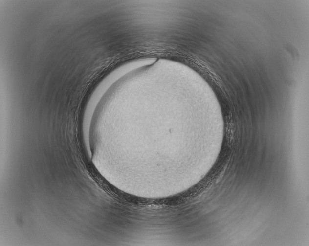 X0000110680593200907241045
