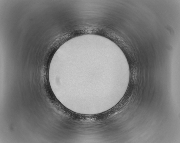 X0000110680594200907241045