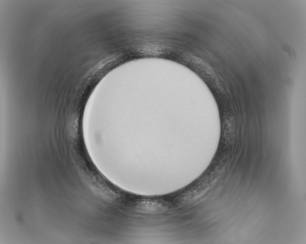 X0000110680596200907241045