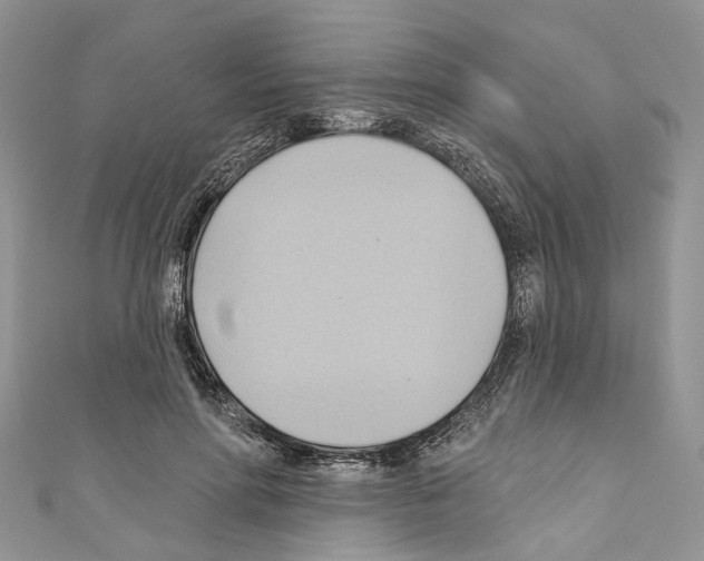 X0000110680598200907241045