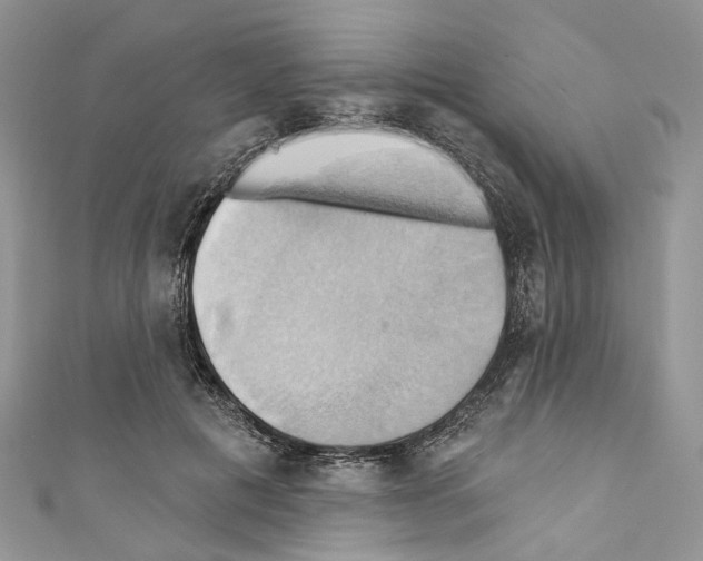 X0000110680601200907241045