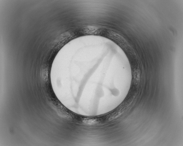 X0000110680602200907241045