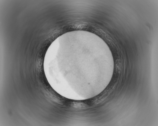 X0000110680605200907241045
