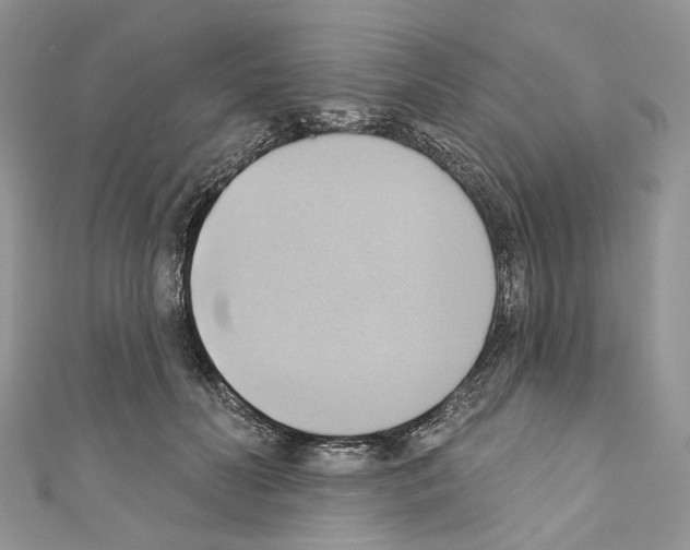 X0000110680606200907241045