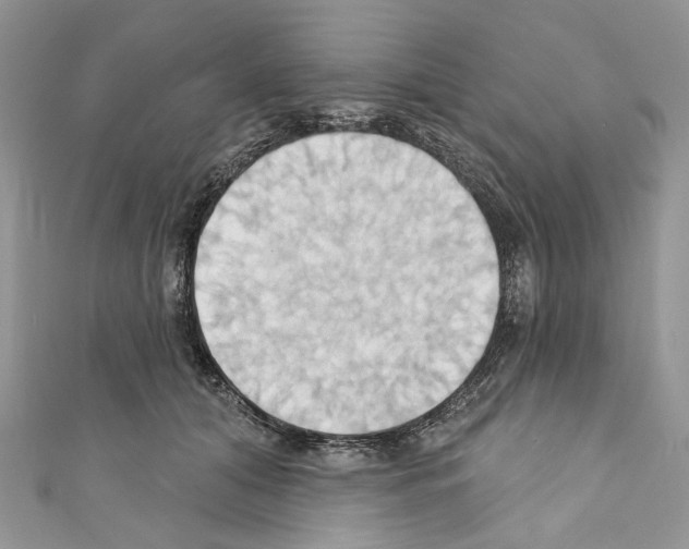 X0000110680608200907241045