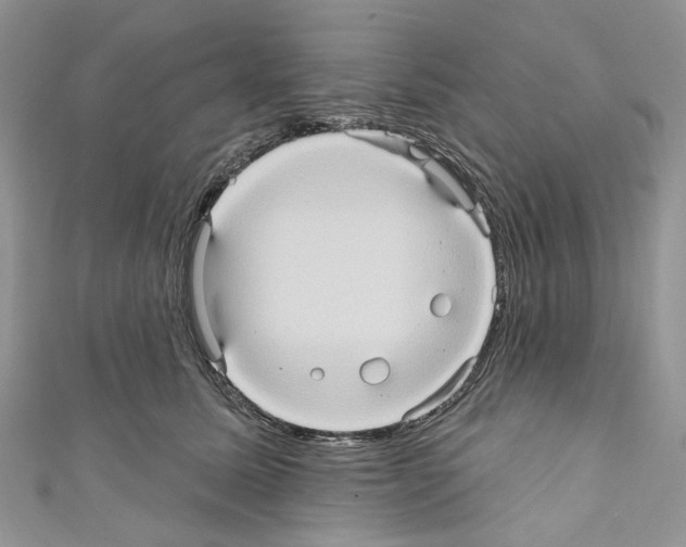X0000110680611200907241045