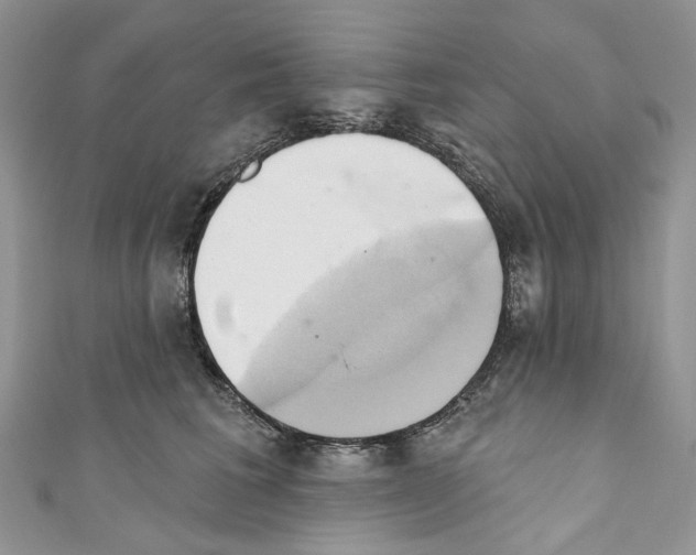 X0000110680613200907241045
