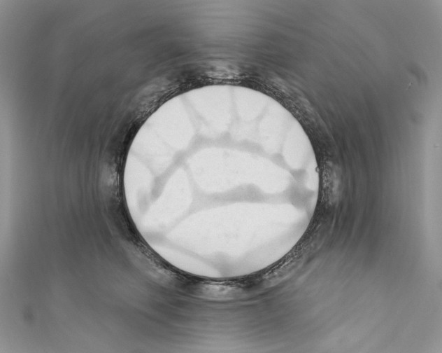 X0000110680614200907241045
