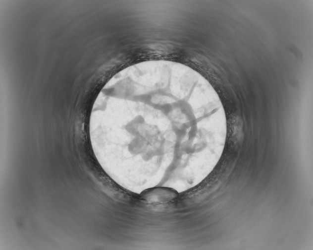 X0000110680615200907241045