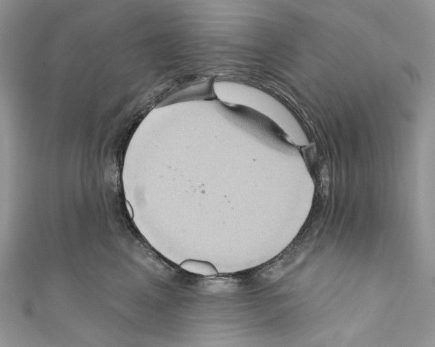 X0000110680617200907241045