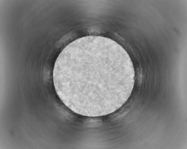 X0000110680619200907241045