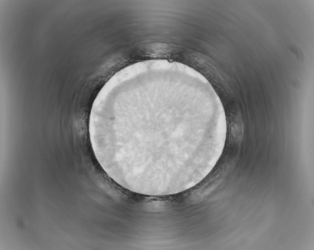 X0000110680620200907241045