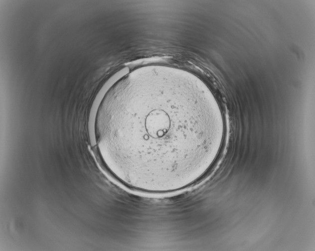 X0000110680621200907241045