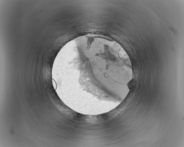 X0000110680623200907241045