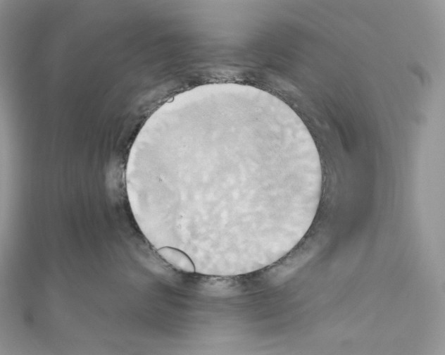 X0000110680624200907241045