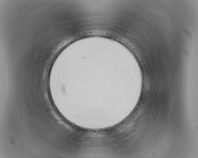X0000110680625200907241044