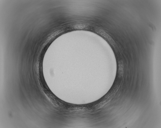 X0000110680626200907241044