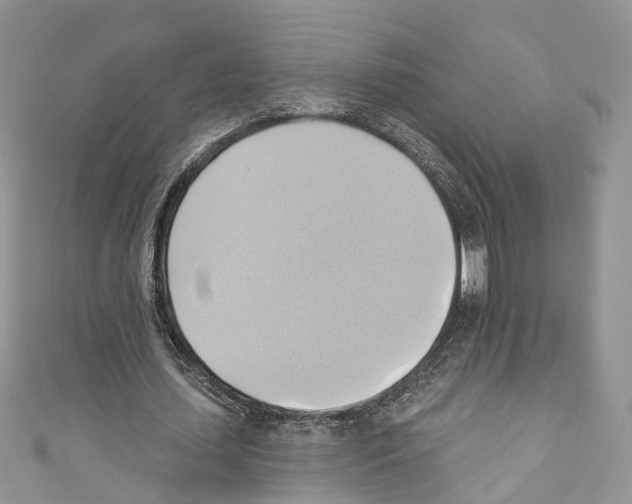X0000110680627200907241044