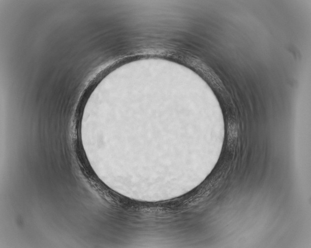 X0000110680628200907241044