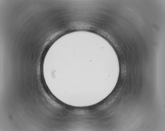 X0000110680629200907241044