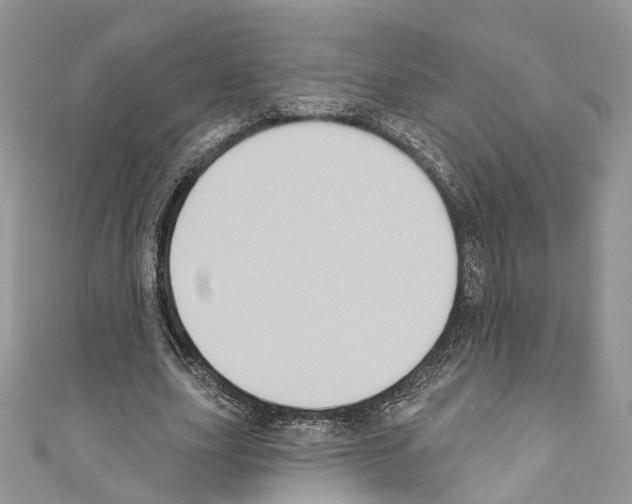 X0000110680631200907241044