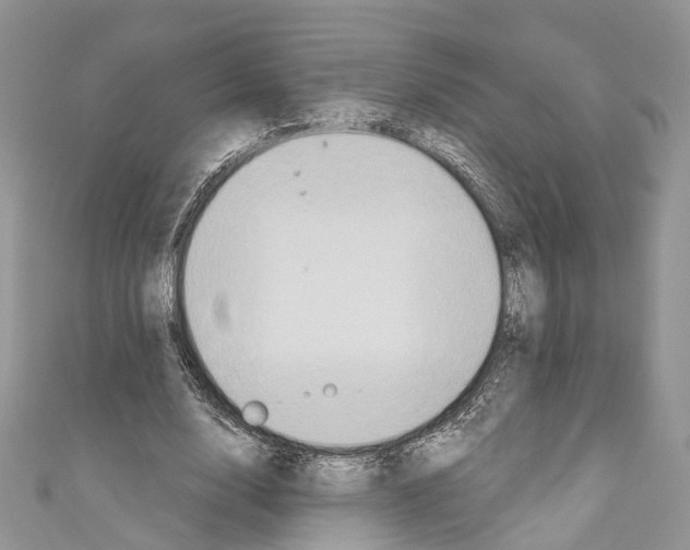 X0000110680632200907241044
